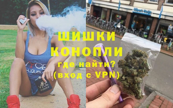 мяу мяу мука Новозыбков