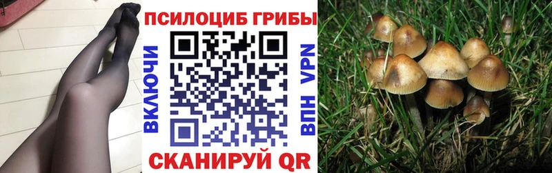 Галлюциногенные грибы мицелий  Хасавюрт 