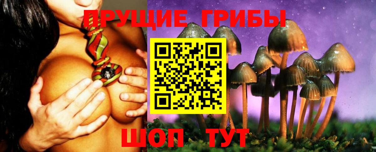 Псилоцибиновые грибы мухоморы  Вход с VPN  Хасавюрт 