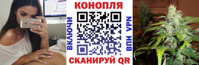 OMG онион  Хасавюрт  МАРИХУАНА марихуана 